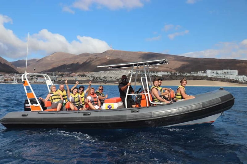 From Morro Jable: Dolphin and Whale Watching and Snorkelling - Who should book this tour, and who should skip it