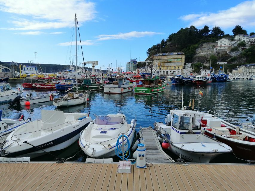 From Oviedo: Luarca, Cudillero and Avilés Day Trip - Should you book this Oviedo coast day trip?