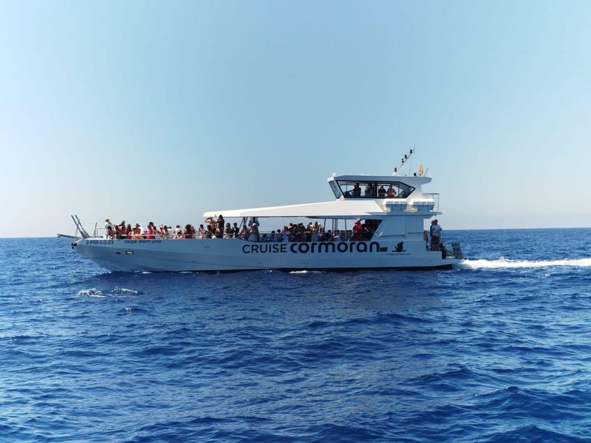 From Palma: 3-Hour Morning Dolphin Watching Boat Tour - Key things to know before you go