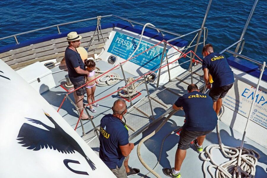 From Palma: 3-Hour Morning Dolphin Watching Boat Tour - Should you book this Palma morning dolphin cruise?
