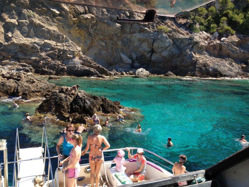 From Palma: 3-Hour Morning Dolphin Watching Boat Tour - The swim and snorkel cove stop