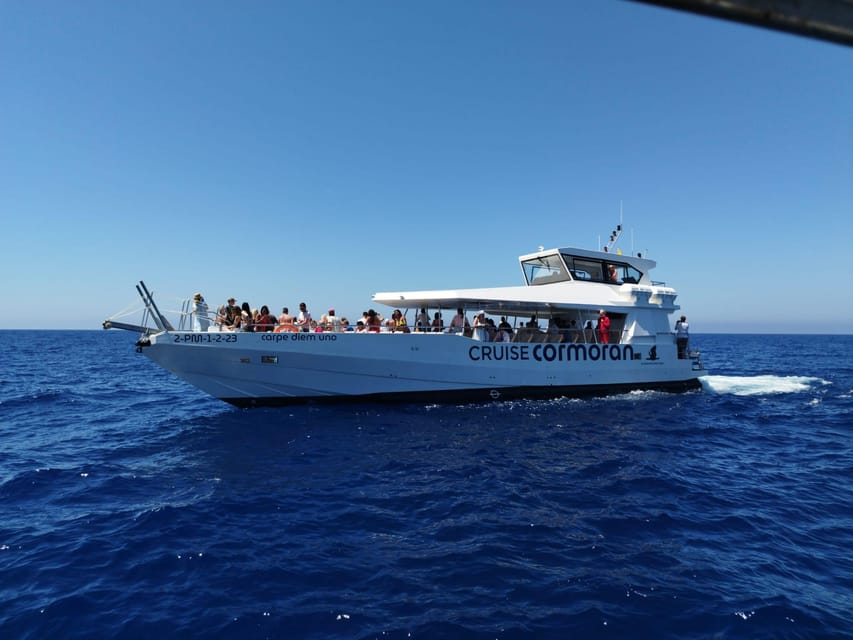 From Palma: 3-Hour Morning Dolphin Watching Boat Tour - Dolphin watching: the fun part, and the honest part