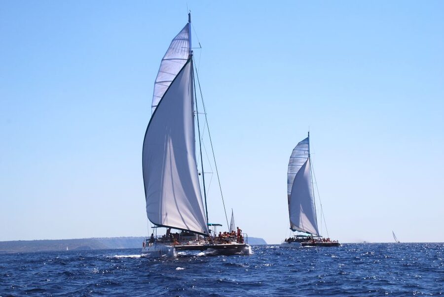 From Palma de Mallorca: Boat Cruise to Illetes - Key Highlights Worth Your Time