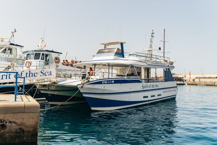 From Puerto Rico de Gran Canaria: Dolphin Watching Cruise - How the glass-bottom works, and when it’s worth the effort