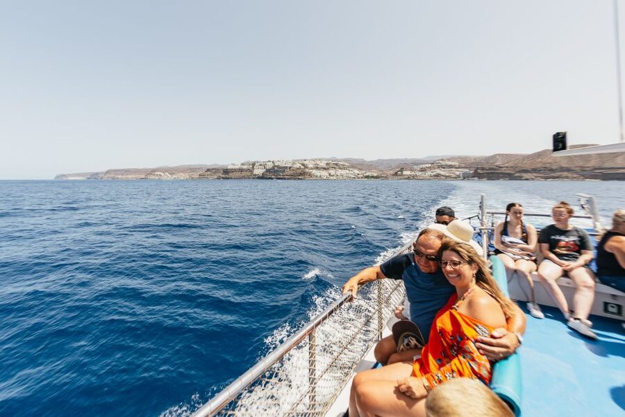 From Puerto Rico de Gran Canaria: Dolphin Watching Cruise - The crew’s species spotting: why this feels more like wildlife watching and less like a boat ride