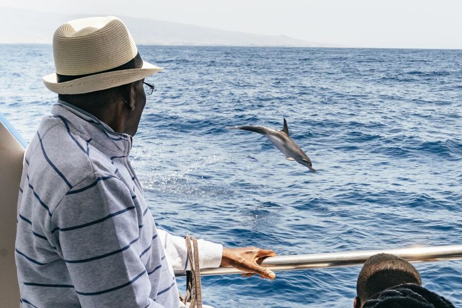 From Puerto Rico de Gran Canaria: Dolphin Watching Cruise - What happens after you spot dolphins, or when you do not