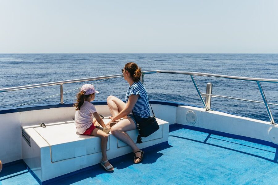 From Puerto Rico de Gran Canaria: Dolphin Watching Cruise - Comfort, onboard basics, and what $47 buys you
