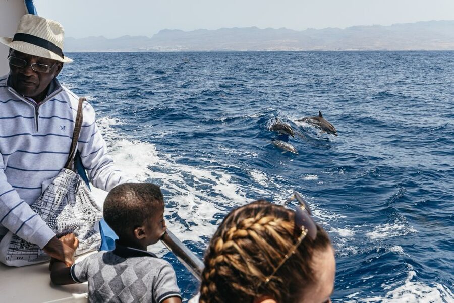 From Puerto Rico de Gran Canaria: Dolphin Watching Cruise - Is this dolphin watching cruise the right match for you?