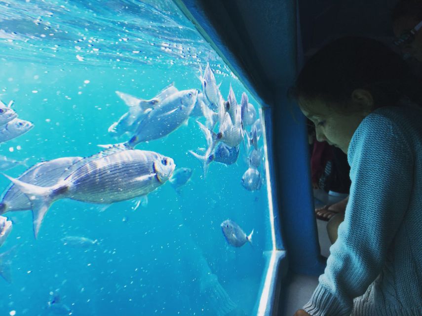 From Roses: Cap Norfeu Boat Cruise & Swimming - Boarding Aquarium II in Roses or Platja de lAlmadrava