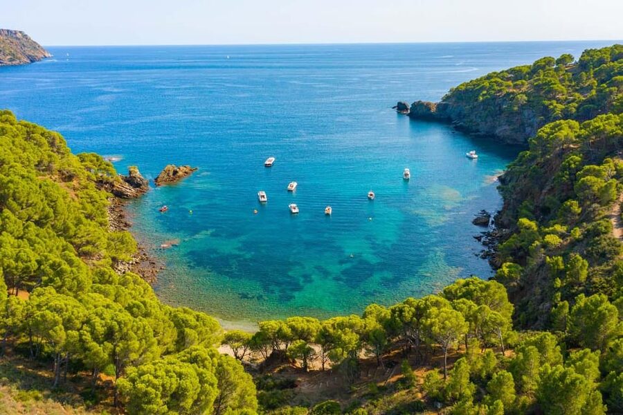 From Roses: Cap Norfeu Boat Cruise & Swimming - Price and Value: What $41 Buys for a 2.5-Hour Sea Trip