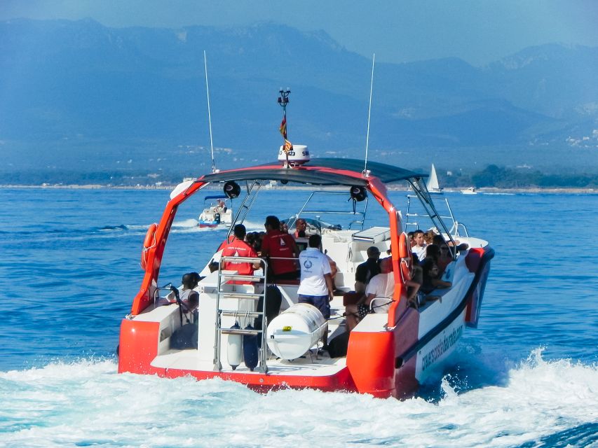From Salou/Cambrils: Speedboat Tour - Costa Dorada in 2 Hours: Speed, Music, and Sea Time
