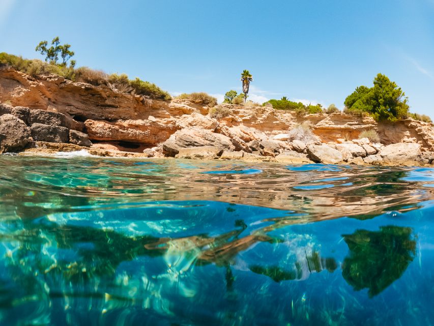 From Salou/Cambrils: Speedboat Tour - Practical Tips for a Smoother, More Comfortable Trip