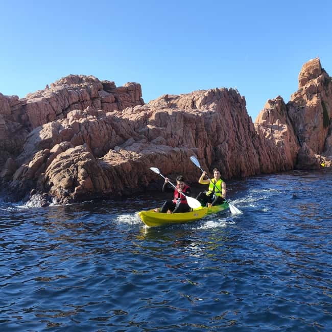 From Sant Feliu de Guíxols: Kayak and Snorkel in Costa Brava - Snorkel Stop: What You’ll See and What You Must Not Do