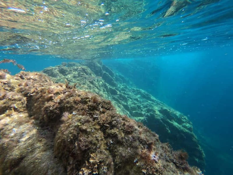 From Sant Feliu de Guíxols: Kayak and Snorkel in Costa Brava - Safety Setup That Feels Real, Not Just Printed