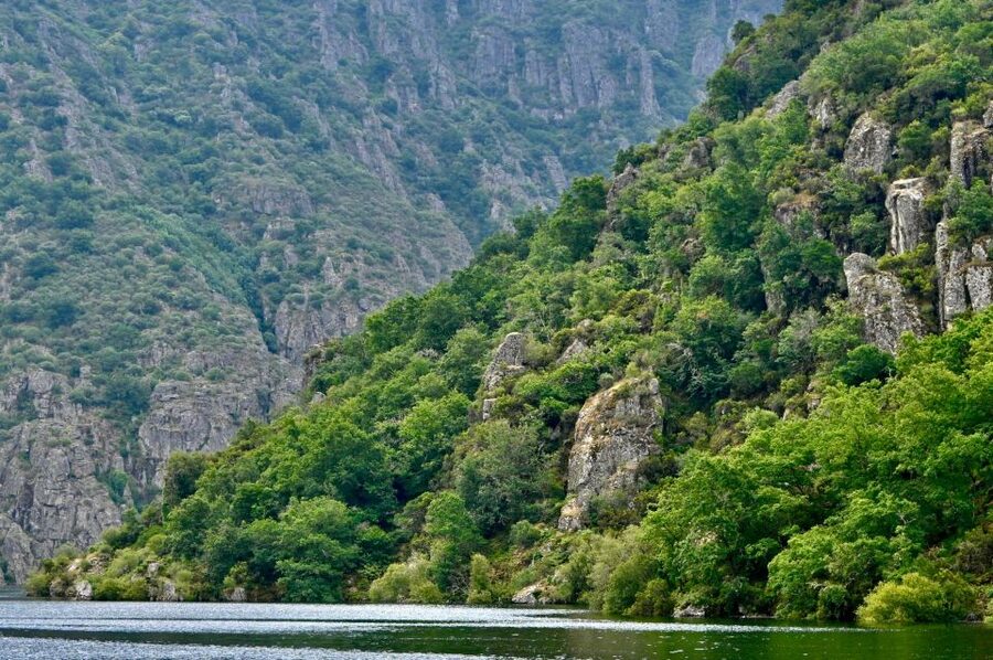 From Santiago: Excursion to Ribeira Sacra and Ourense - Quick hits before you go