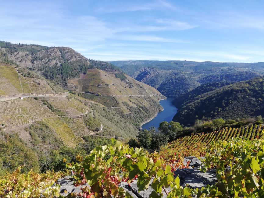 From Santiago: Excursion to Ribeira Sacra and Ourense - Ourense free time: thermal city energy and the bridges of the old center