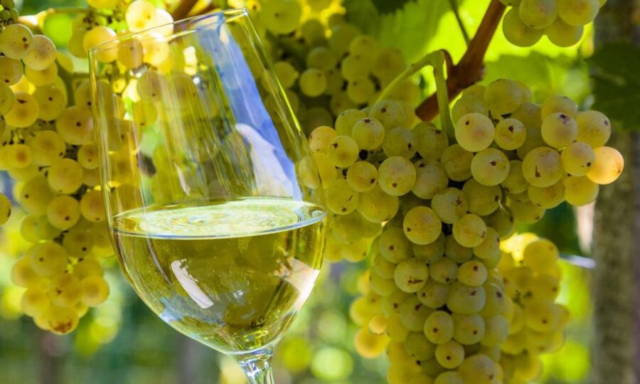 From Santiago: Tour to Rias Baixas with Boat Trip and Winery - Should you book this tour of Rías Baixas from Santiago?