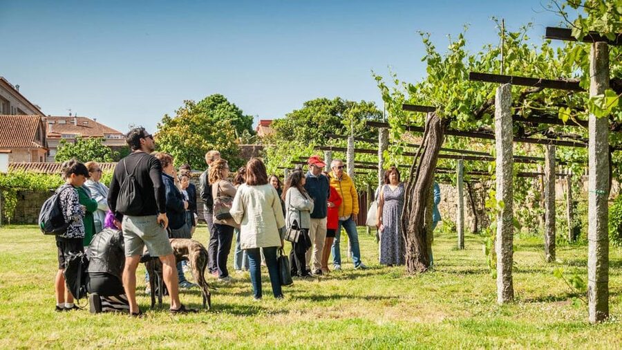 From Santiago: Tour to Rias Baixas with Boat Trip and Winery - A Lanzada, Poio’s stone crosses, and the art of scenic walking