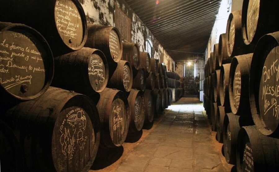 From Seville: Cadiz and Jerez de la Frontera Day Trip - How the day feels: timing, pace, and why “varied” is the selling point