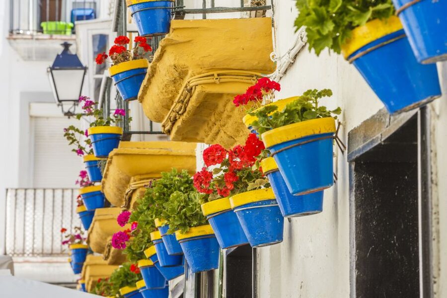 From Seville: Cadiz and Jerez de la Frontera Day Trip - Price and value: what you are really paying for at $117