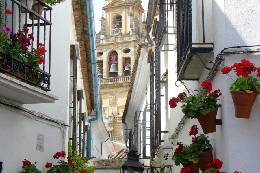 From Seville: Córdoba and Mosque Cathedral Full-Day Tour - Guides, Languages, and What to Expect from English