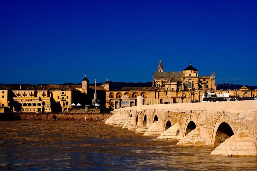 From Seville: Cordoba Full-Day Tour with Tickets Included - Mosque-Cathedral of Córdoba: The 856 Columns and Why the Guide Matters