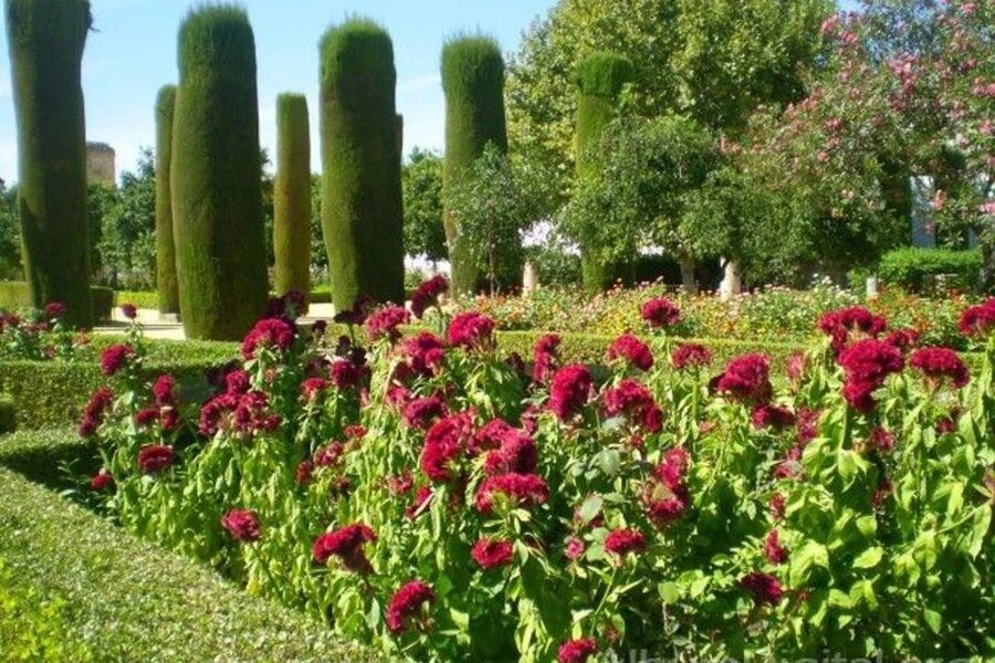 From Seville: Cordoba Full-Day Tour with Tickets Included - Price and Value: Is $123 a Good Deal?