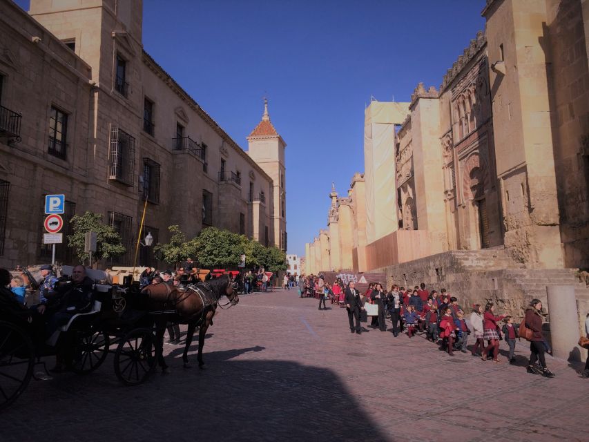 From Seville: Cordoba, the Mosque and Carmona Day Trip - FAQ