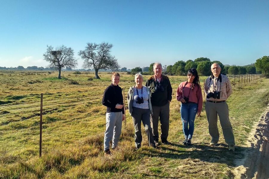 From Seville: Doñana National Park Day Trip - Matalascanas, dunes, and a possible Atlantic dip