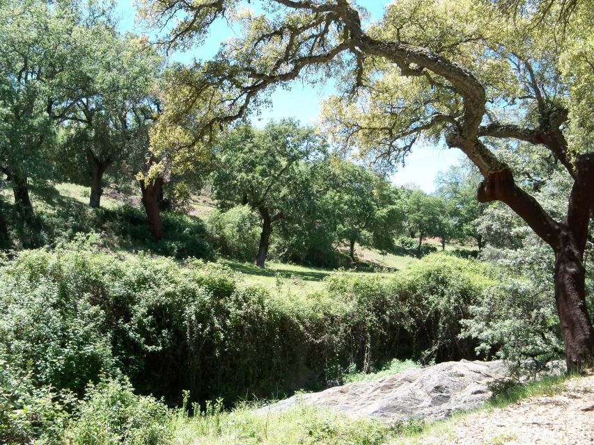 From Seville: Full-Day Aracena & Rio Tinto Mines Tour - Food and shopping: what’s on your tab