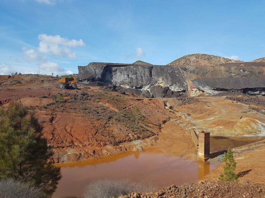 From Seville: Full-Day Aracena & Rio Tinto Mines Tour - Dehesas de Sierra Morena: cork oaks, pigs, and NASA-level science