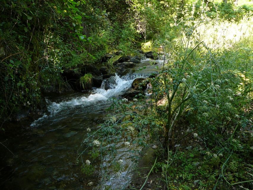 From Seville: Full-Day Aracena & Rio Tinto Mines Tour - Walking the Aracena trails: shade, dehesa life, and good shoes
