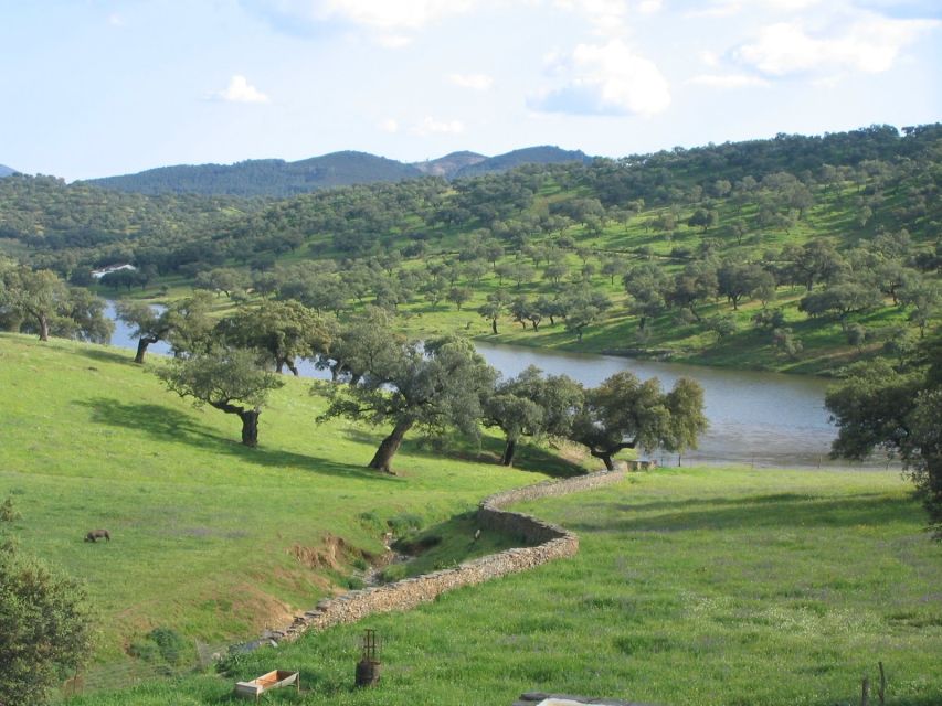 From Seville: Full-Day Aracena & Rio Tinto Mines Tour - The morning drive: get your bearings before the main sights