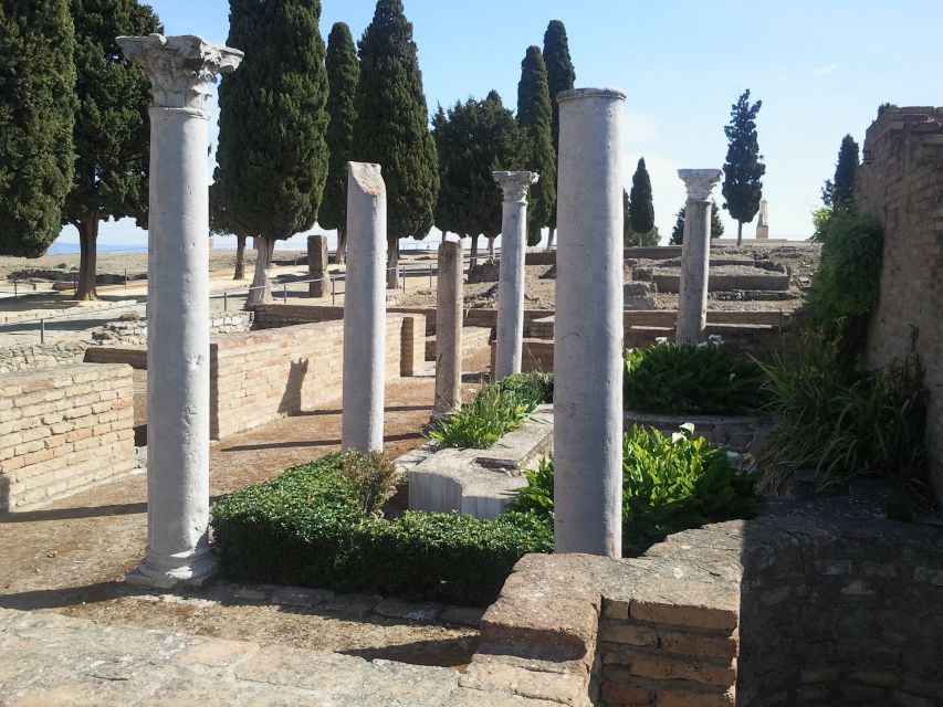 From Seville: Italica Roman City Tour - The Italica Amphitheater: 25,000 Seats and a Tunnel Surprise