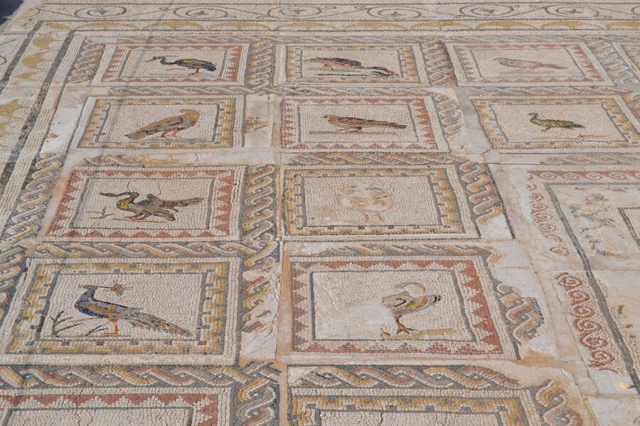 From Seville: Italica Roman City Tour - Guides, Group Size, and How to Get the Most Out of 3 Hours