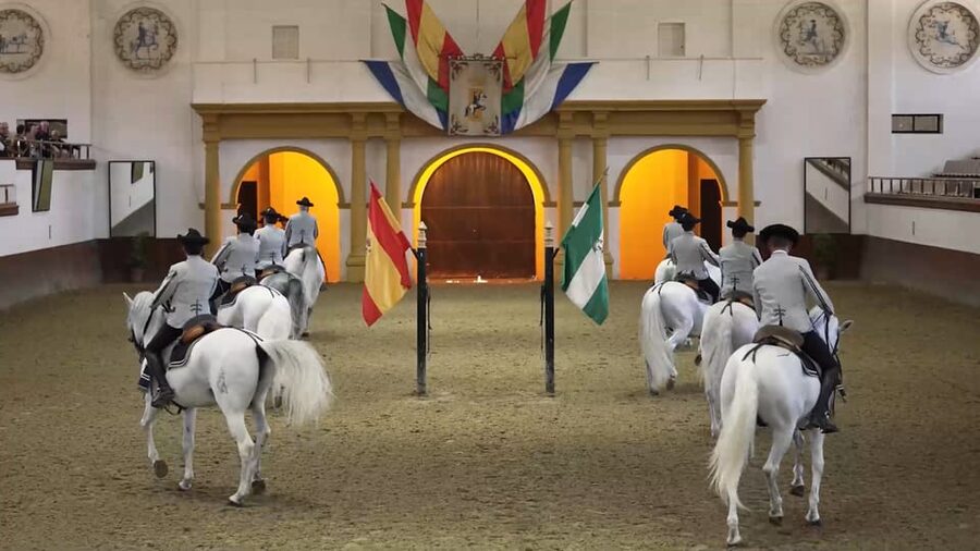 From Seville: Jerez, Cádiz and Andalusian Horses - Small snags to plan around