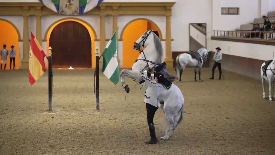 From Seville: Jerez, Cádiz and Andalusian Horses - Jerez de la Frontera: the sherry bodega tour and tastings