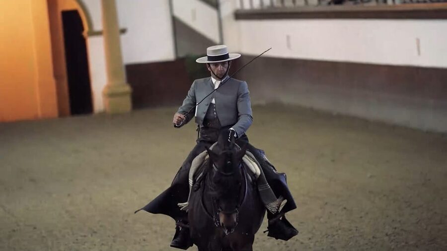 From Seville: Jerez, Cádiz and Andalusian Horses - Coach comfort and how the guide shapes the whole day