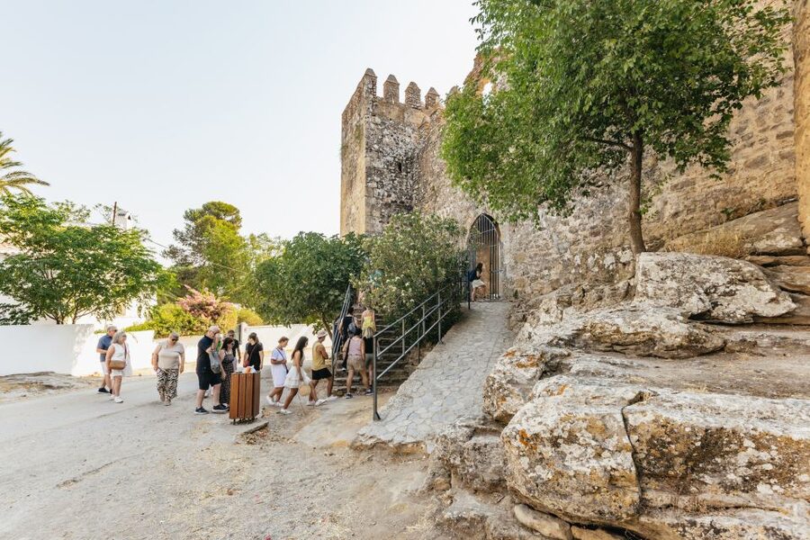 From Seville: Pueblos Blancos and Ronda Full-Day Trip - Who This Tour Suits Best (and Who Might Want Something Else)