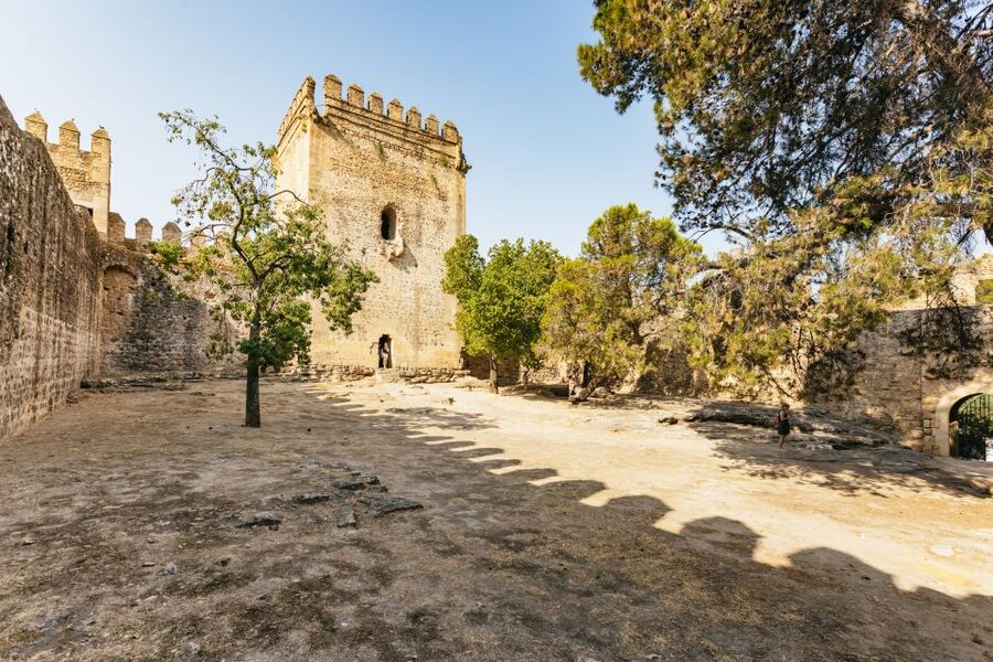From Seville: Pueblos Blancos and Ronda Full-Day Trip - Grazalema: Lunch Time, Nature Park Views, and Vulture Spotting