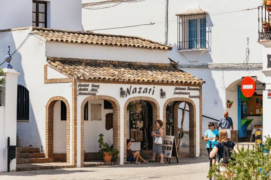 From Seville: Pueblos Blancos and Ronda Full-Day Trip - The Drive Through Rural Andalusia: Honey, Cork, Spices, and Animals