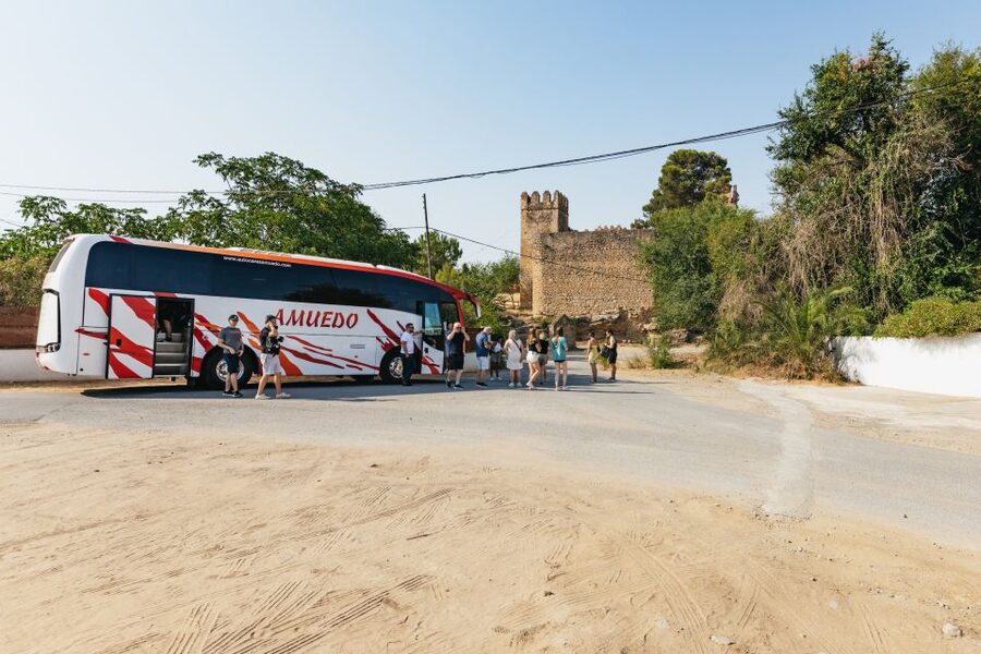 From Seville: Pueblos Blancos and Ronda Full-Day Trip - Ronda: Two Cliffs, One New Bridge, and Enough Time to Enjoy It