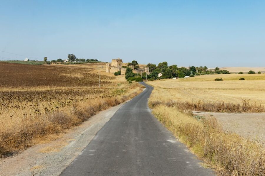 From Seville: Pueblos Blancos and Ronda Full-Day Trip - Price and Value: What You Pay For at $52