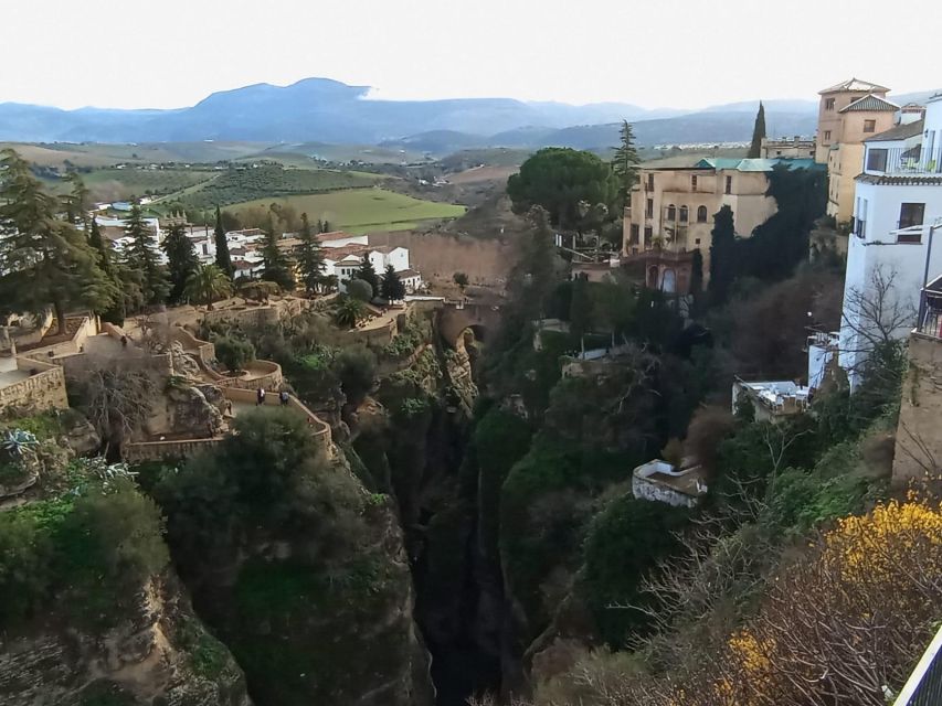 From Seville: Ronda+Setenil de las Bodegas Day Trip - The bus ride: long enough to matter, comfy enough to manage