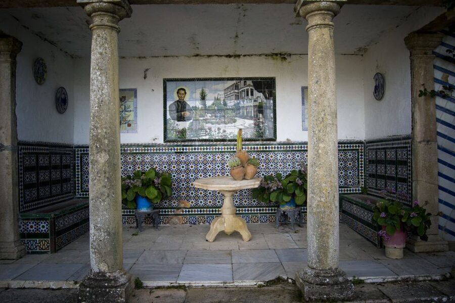 From Seville: White Villages and Ronda Full-Day Trip - Olive oil mill and tasting: what the stop really is