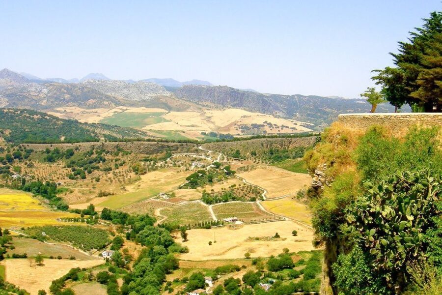 From Seville: White Villages and Ronda Tour - Food and pacing: plan for lunch on your terms