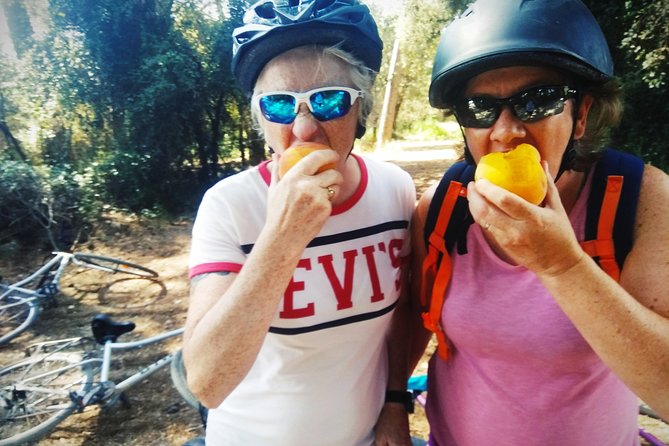From Sitges: Bike Tour and Winery Visit with Free Hotel Pick Up. - The Bike Ride: Vineyards, Countryside Views, and One Real Hill