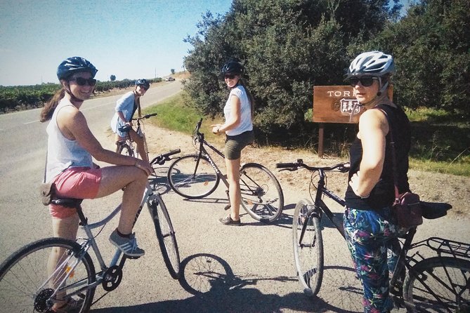 From Sitges: Bike Tour and Winery Visit with Free Hotel Pick Up. - Price and Value: Is $111.26 a Fair Deal?