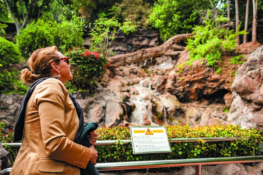 From South Tenerife: Loro Park Zoo Ticket & Hotel Transfers - Orca Ocean: Killer Whales, Then Dolphins and Sea Lions
