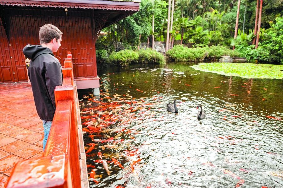 From South Tenerife: Loro Park Zoo Ticket & Hotel Transfers - Price and Logistics: Is $75 Good Value?